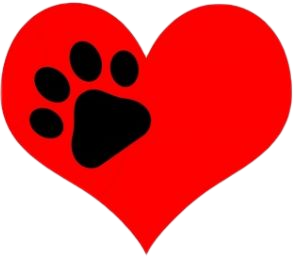 Dog Walking in Woodhaven, NY